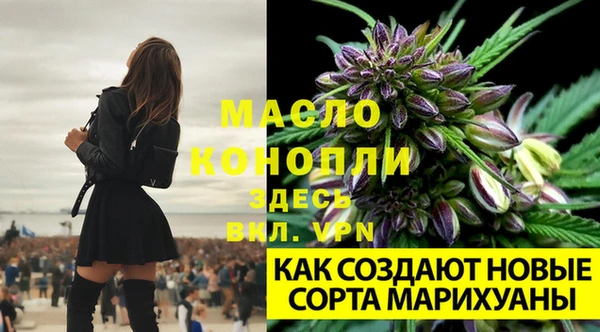 эйфоретик Гусь-Хрустальный