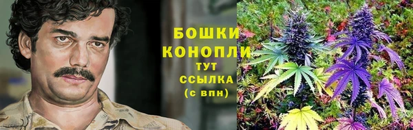 эйфоретик Гусь-Хрустальный