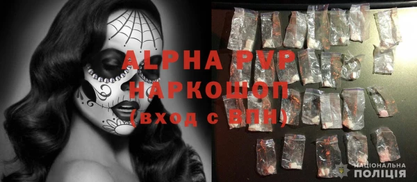 эйфоретик Гусь-Хрустальный