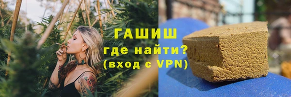 эйфоретик Гусь-Хрустальный