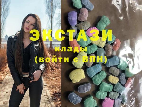 эйфоретик Гусь-Хрустальный